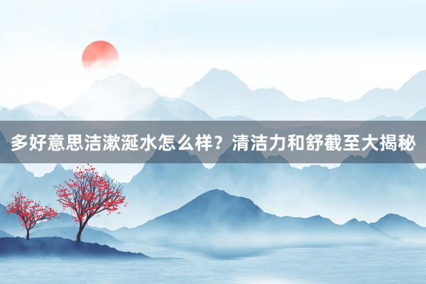 多好意思洁漱涎水怎么样？清洁力和舒截至大揭秘